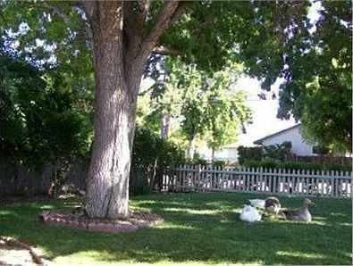 2nd image of 3777 Hayden Dr