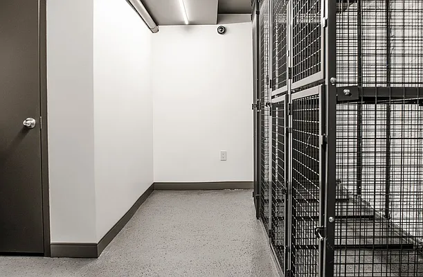 Rented by Argent Advisors LLC | media 32