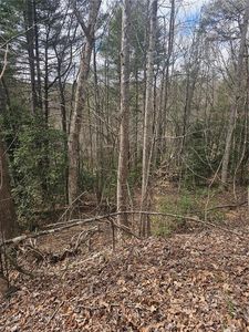 LOT 10 Linda Carol Ave, Wilkesboro, NC, 28697