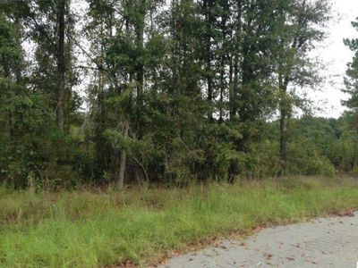 TBD Bridgebrook Ln., Conway, SC, 29527