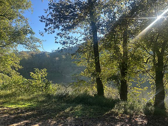 4th image of 45 Monkey Bluff Rd