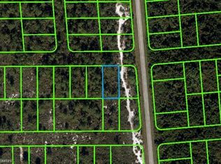 1523 Jacaranda St, Lake Placid, FL 33852