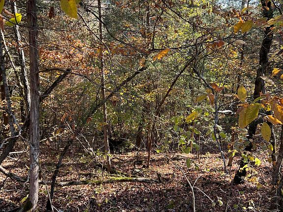 3rd image of Lot 6 Saddlebrooke Drive