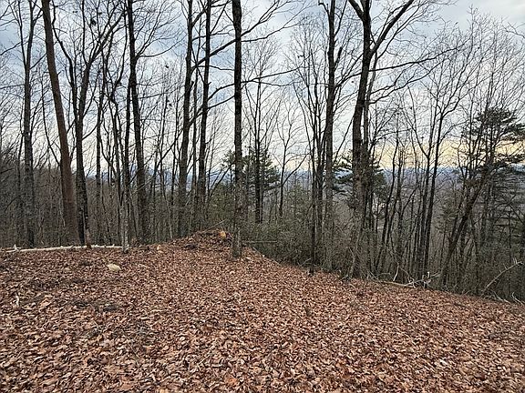 3rd image of 8 Westmoreland Rd