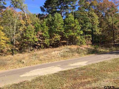 2431 Cr, Pittsburg, TX, 75686