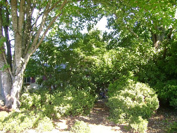 Native Landscaped Front Yard/Street View