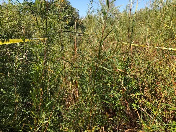 14 Alexandra Dr #17, Libertyville, IL 60048