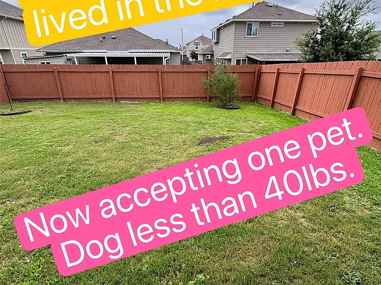 10305 Forest Grove Dr — Photo 39