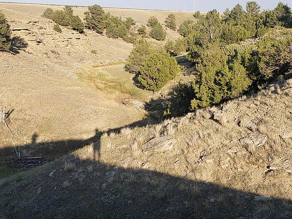 3rd image of Antelope Rd