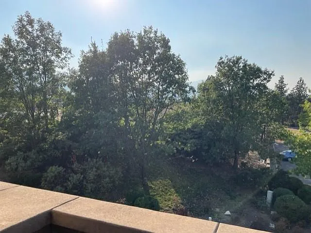 Nice view of trees and mountains from the deck