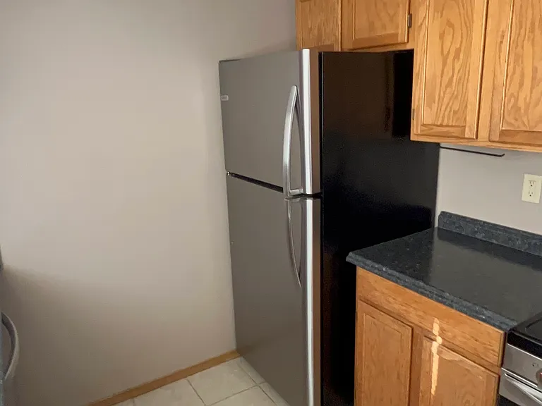 1359 Soaring Eagle Dr — Photo 6