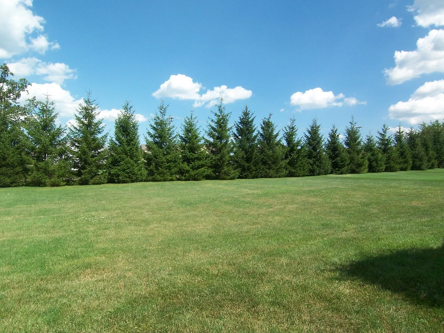 11385 Dwyer Ln photo 1