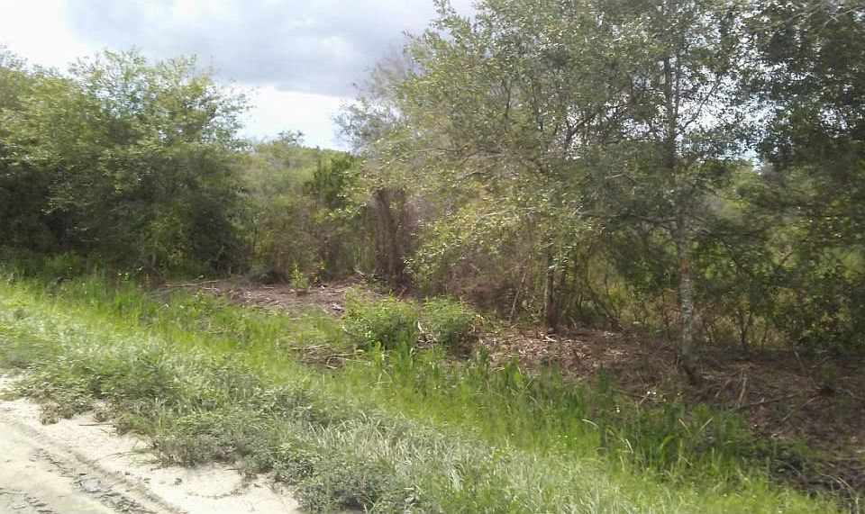 2nd image of 17271 NW 256th St