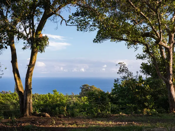 55-789 Hawi Rd Lot 2, Hawi, HI 96719