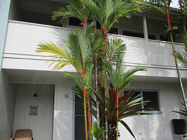 Entrance from parking lot