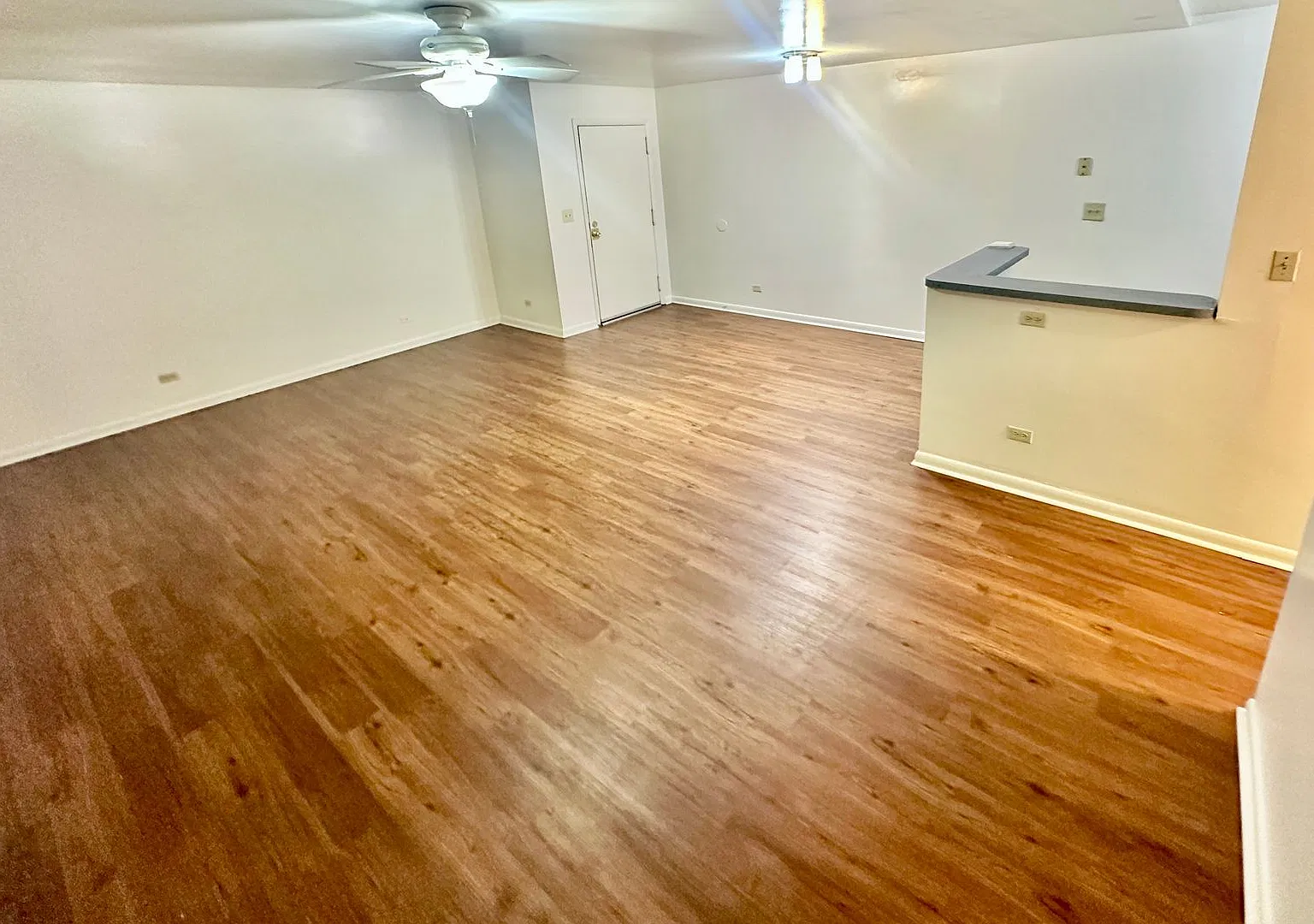 1215 Wertland Street — Photo 4