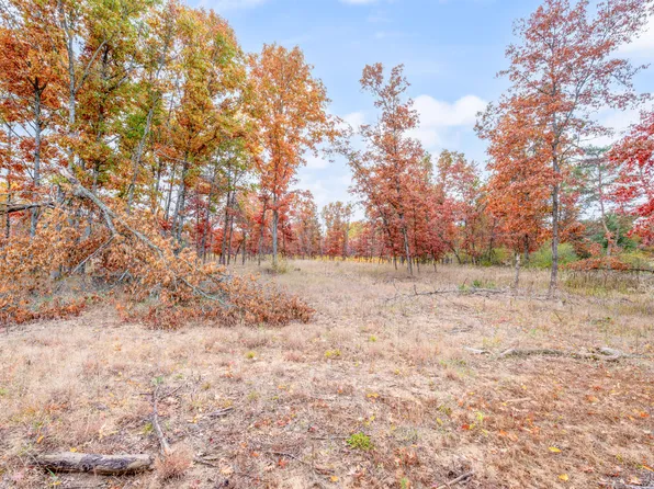 V/l 16 Mile Rd, Big Rapids, MI 49307