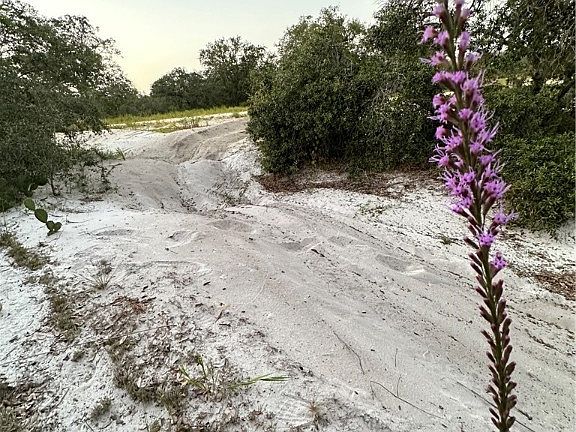 2nd image of 206 Rhythm Dr