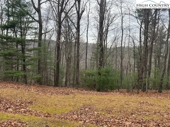 TBD Jobs Road, Laurel Springs, NC 28651