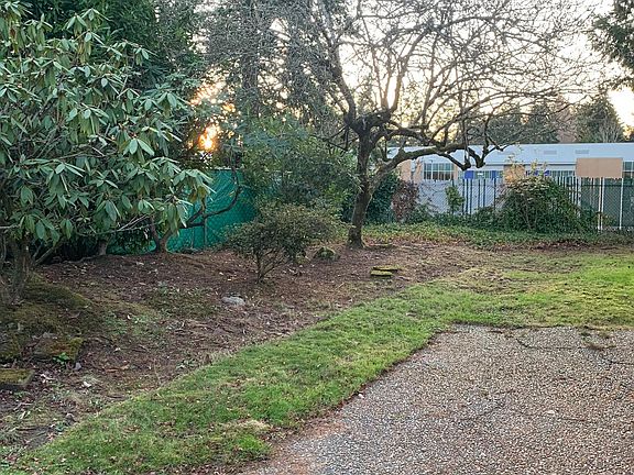 Backyard. Southern facing with good light exposure.