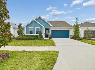 11313 Hardwood Hammock Ln, Riverview, FL 33569