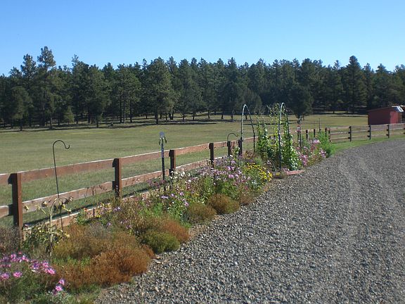 3rd image of 13957 County Road 41.7