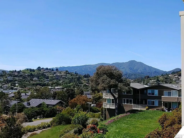 Majestic Mt. Tam