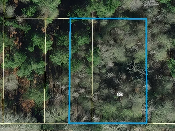 903 E Bailey Ave, Troup, TX 75789