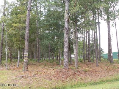 136 Hibbs Extension Ext, Newport, NC, 28570