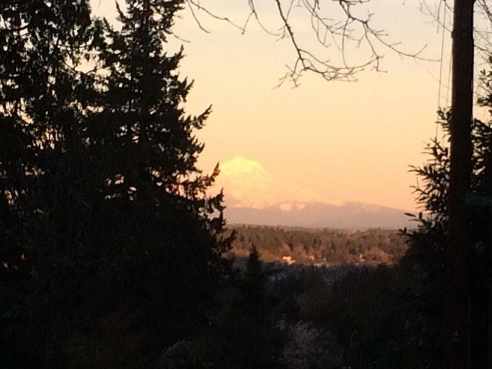 View from the end of the driveway