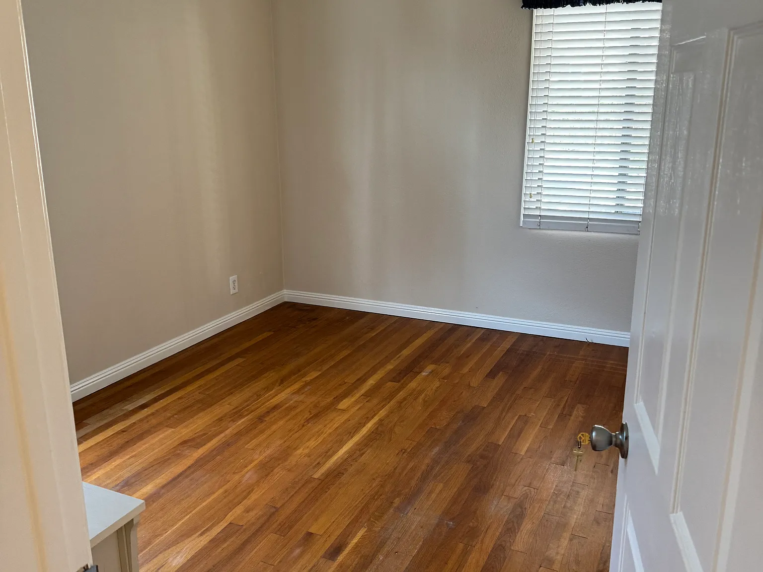 1 bed, $1,300 — Photo 2