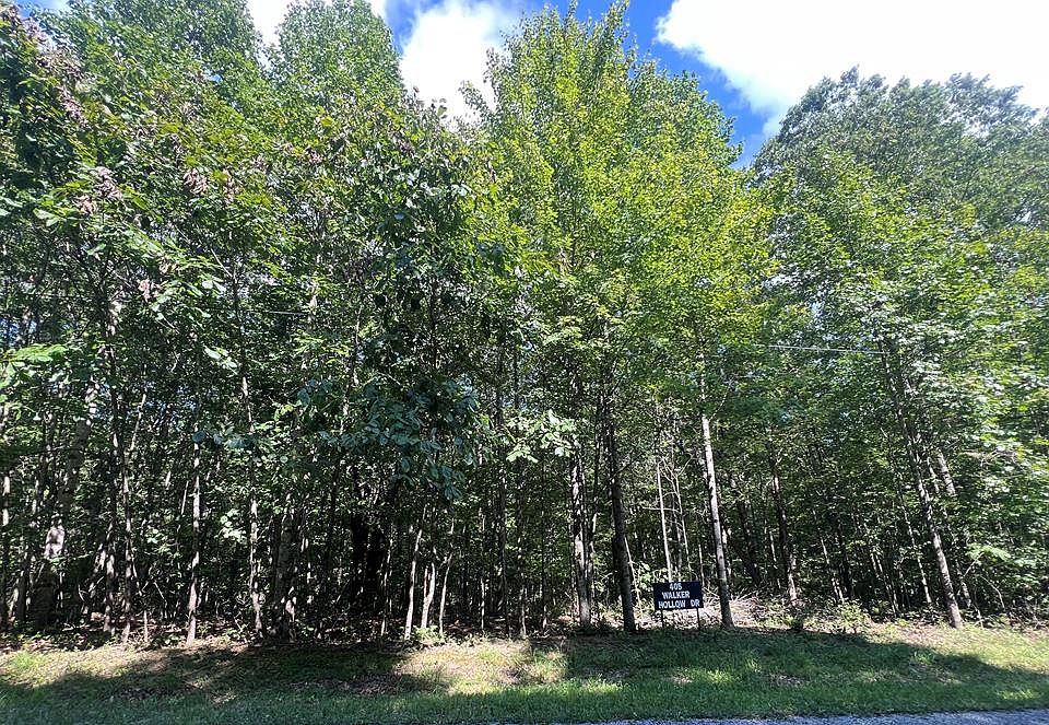 1st image of 405 Walker Hollow Dr