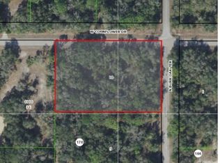 9912 N Burr Oak Ter, Crystal River, FL 34428