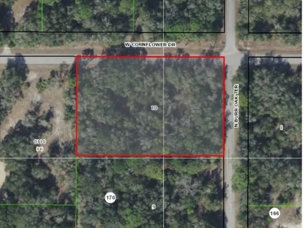 9912 N Burr Oak Ter, Crystal River, FL 34428