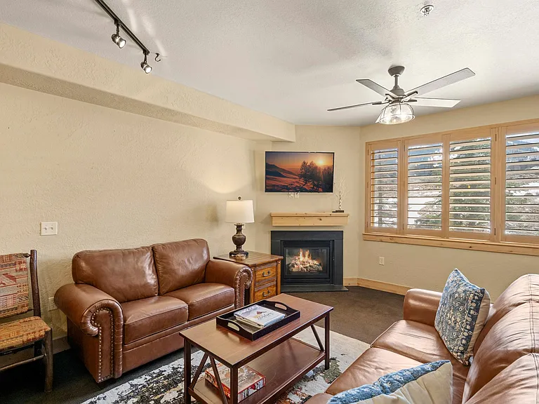 Living Room with Sleeper Sofa