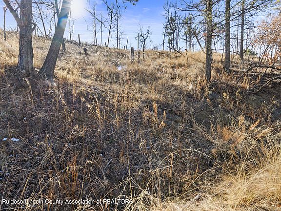 3rd image of 115 Cibola Cir