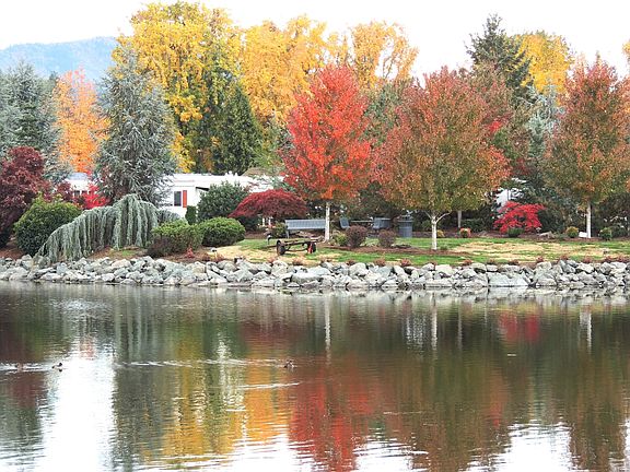 2nd image of 303 Kingsley Dr