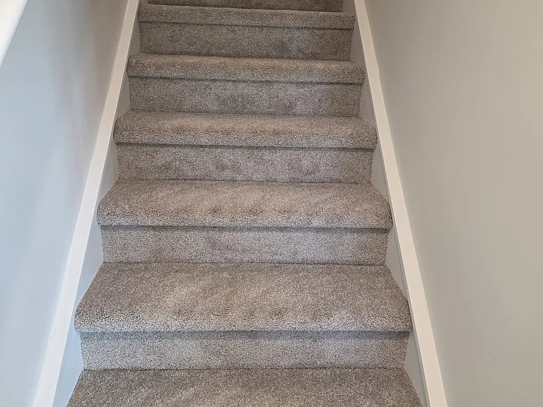 3704 Sophia Ln — Photo 13