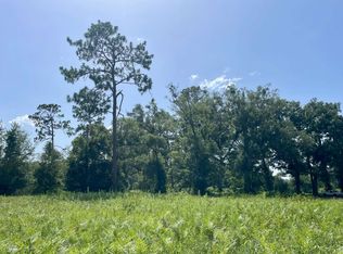 0 99th Dr, Mc Alpin, FL 32062
