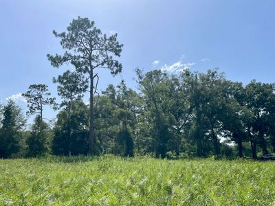 0 99th Dr, Mc Alpin, FL, 32062