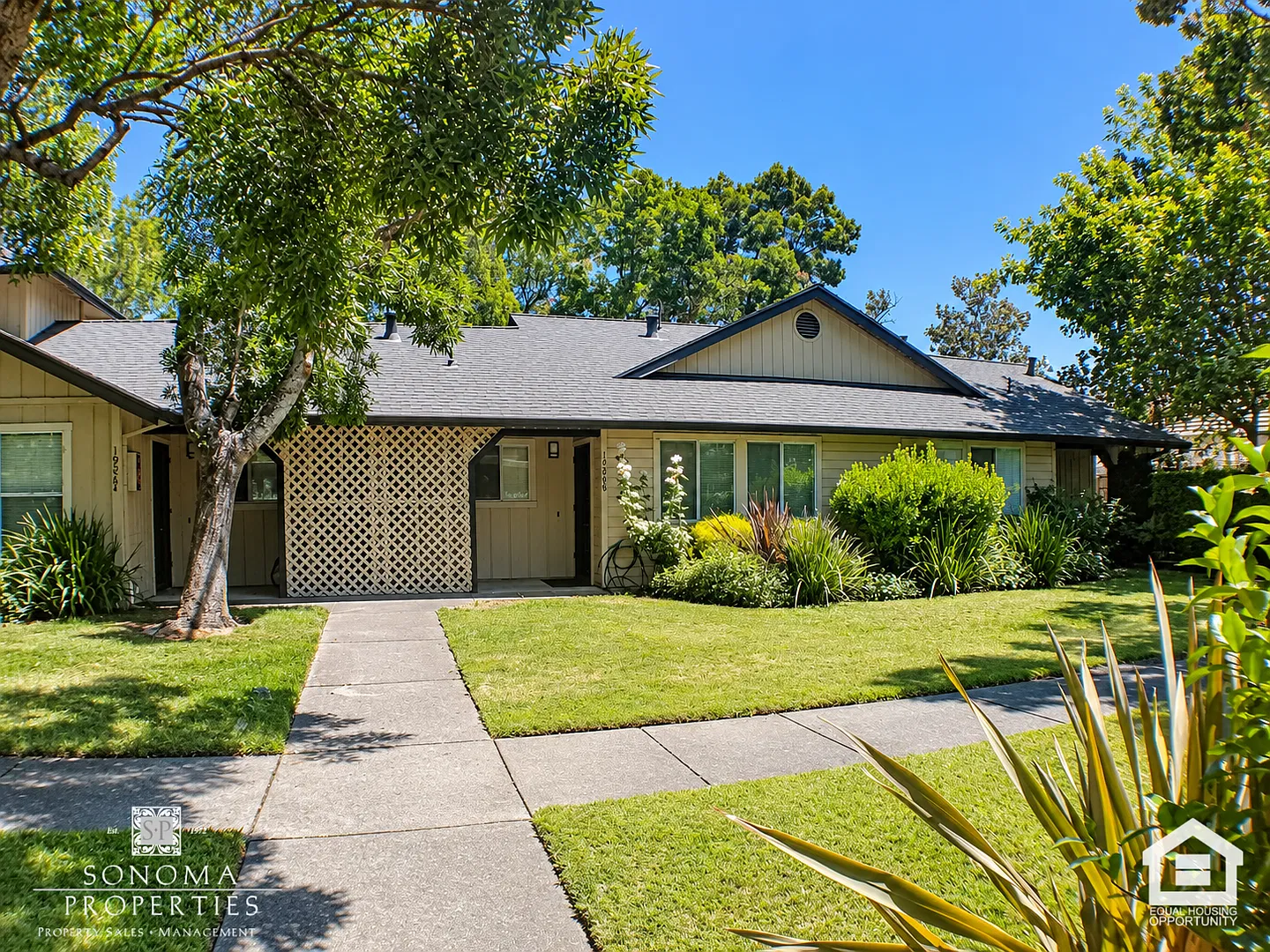 Newly Renovated 1BD/1BA Near Downtown Sonoma — Photo 2