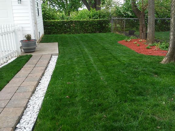 fenced backyard