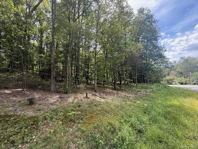 LOT 2 Shoddy Hollow Road, Otisville, NY, 10963