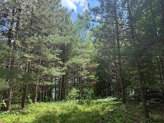 3rd image of 33 Acres Partridge Lane