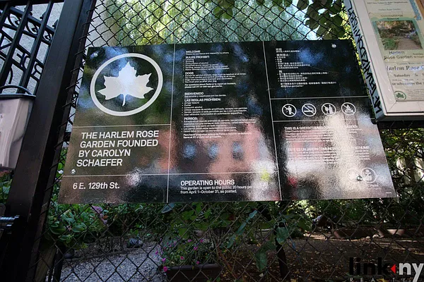 Rented by Link NY Realty | media 11