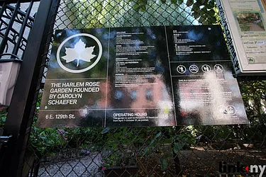 Rented by Link NY Realty