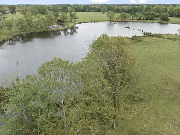 TRACT 15 County Road 2235, Bagwell, TX 75412