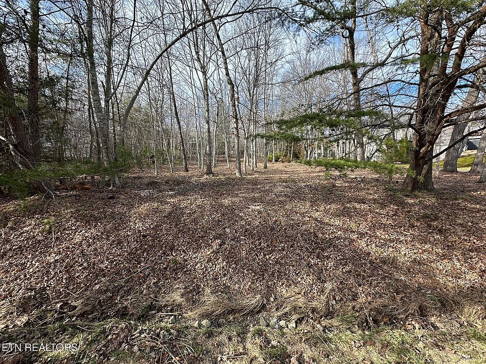 2nd image of 125 Motthaven Dr