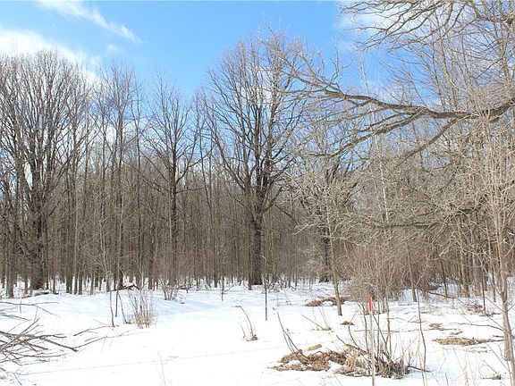 5th image of N2475 Robin Avenue N