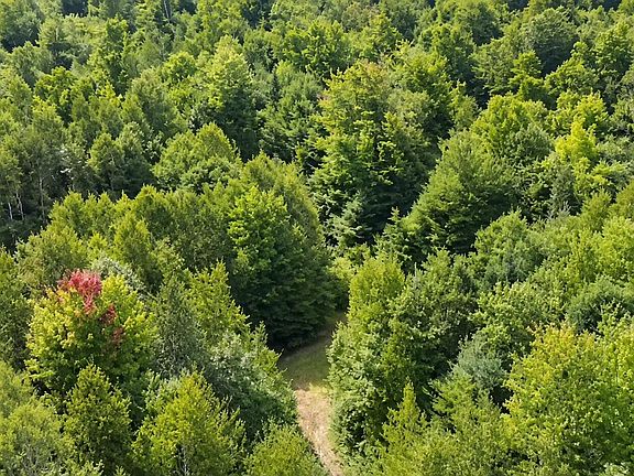 3rd image of 0 Goodwin Road Lot 1